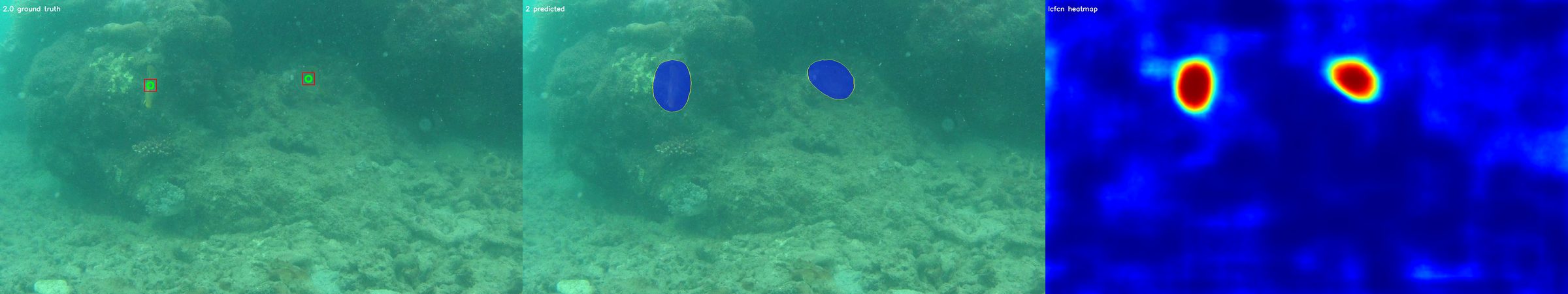 Three panels of the same reef frame: ground-truth points on two fish, the model's two predicted blobs, and the heatmap.
